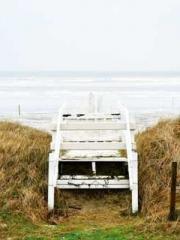 Become a big shot in