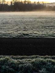 Celestial Eye: Peerl