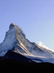 The Imperial Concubi