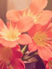 Yet, I became a powe