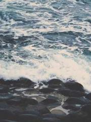 lt;The Dragon Discar