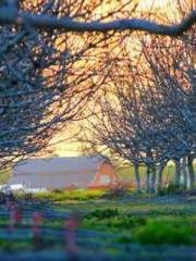 Double Blessing: CEO