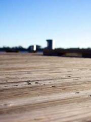 Cultivating My Empre