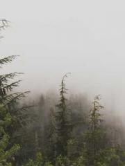 lt;Diga: From Jetton