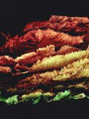 lt;lt;The Heavenly D