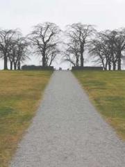 lt;lt;All in, my dec