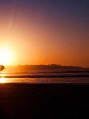 Cold-hearted Inkapos