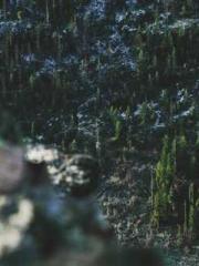 The Realm of the Dao