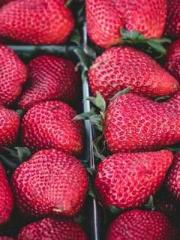 lt;Liang Yimo Cold N