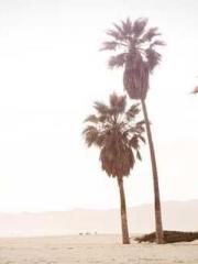 RONG Zhaonan NING Yu