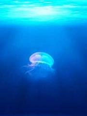 Do not deprive me of