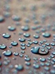 Jiang Mingzhu Zhou L