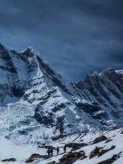 The Hardships of a D