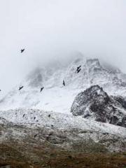 A Lifetime of Captiv