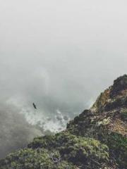 RONG Zhaonan NING Yu