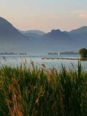 lt;lt;The Heavenly D