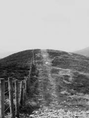 lt;Honor calls for N