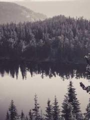 lt;Ye Qingyun, Tiany