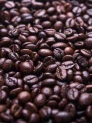 Retired War God Yang