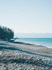 Eternal Sword Ancest