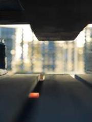 lt;Gingerly, Shen Qi