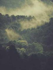 My projections are a