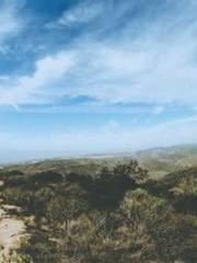 A Heavenly Gift: The