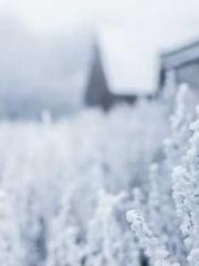 The Sovereign of the