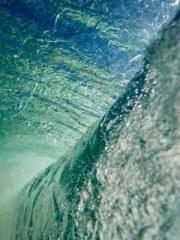 One Pregnancy, Two B