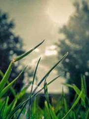 Rong Shao Nan Ning Y