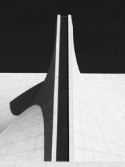 The Favorite Concubi