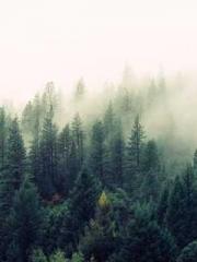 lt;lt; The Divine Do