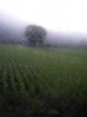 lt;The Dragon Discar