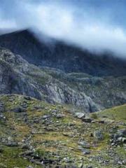 I have seven fairy g