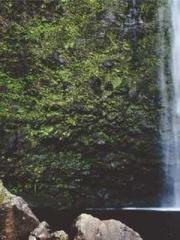 lt;lt;lt;Visionary S