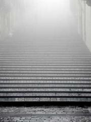 One Pregnancy, Two B