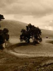 Reborn in the Apocal