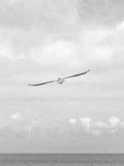 lt;lt;The Heavenly D