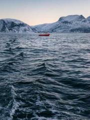 Grave Robbing: Openi