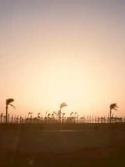 The Undefeated Son-i