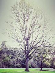 Two Treasures Arrive