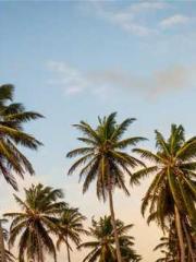 The Rough Man Hunter