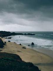 Transmigration: Feel