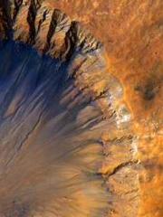 The Wife of My Heart