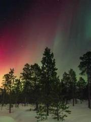 Celestial Eye: Peerl