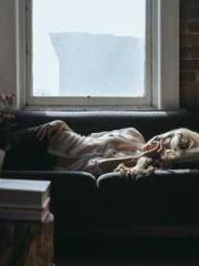 The Imperial Concubi