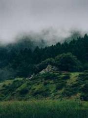 The Beloved Physicia