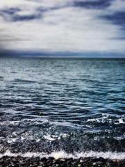 My Sweet Wife: The C