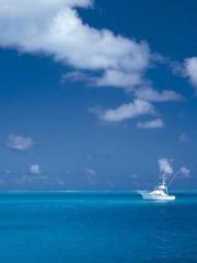 One Night of Indulge