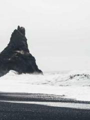 One Pregnancy, Two B